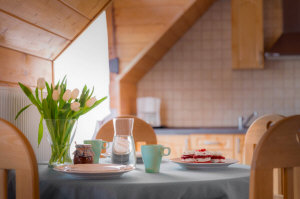 Vila pe lacul Mikołajki apartamente lacul Masuria vacanta in Polonia
